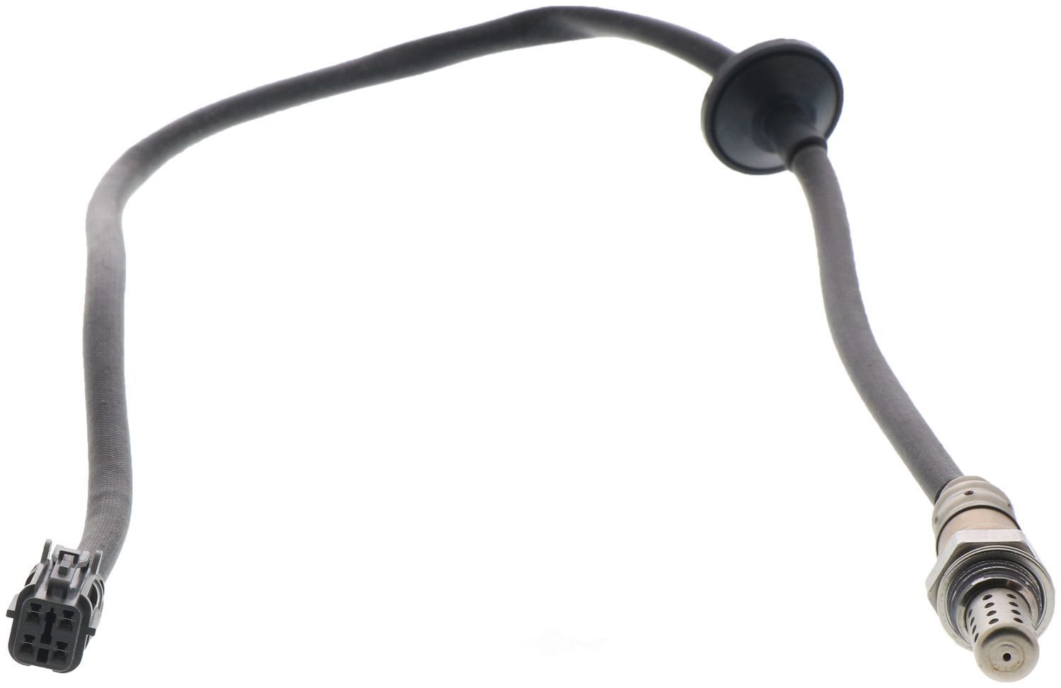 https://images.wrenchead.com/smartpages/partinfo_resize/BOS/9/96/16651front01.jpg
